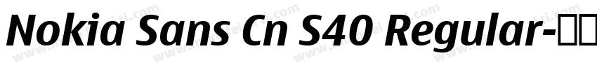 Nokia Sans Cn S40 Regular字体转换